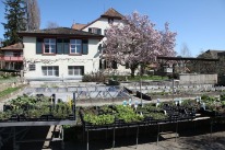 Garten des Vollzugzentrums Klosterfiechten.
