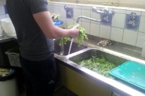 Ein Mann rüstet Salat im Rahmen der gemeinnützigen Arbeit.